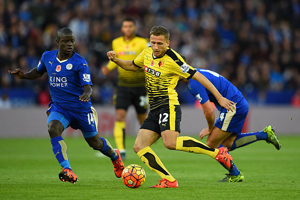 榄的独特风 榄的独特风